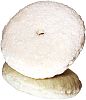3M 05753 9" Perfect It Double Sided Wool Compounding Pad