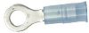 Ancor 210211 Blue 16-14 Wire #6 Fastener Nylon Insulated Ring Terminal 25/PK