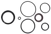 BRP 174520 O-Ring & Seal KIT- 2 Required (174520)