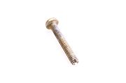 BRP 309545 Screw - Brp (309545)