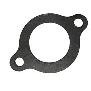 BRP 312797 Gasket Thrmstat (312797)