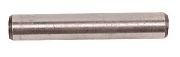 BRP 313448 Clutch Dog Pin - BRP (313448)