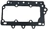 BRP 316162 Gasket - BRP (316162)