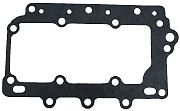 BRP 316162 Gasket - BRP (316162)