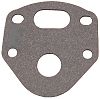 BRP 316499 Gasket - BRP (316499)