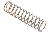 BRP 317245 Spring - Brp (317245)