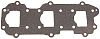 BRP 317305 Gasket Manifold - Brp (317305)