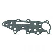 BRP 318917 Gasket - Brp (318917)