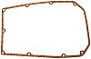BRP 321794 Gasket Air Silncr (321794)