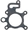 BRP 323459 Gasket - BRP (323459)