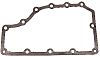 BRP 325211 Gasket, Water Pass (325211)