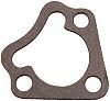BRP 329076 Gasket - BRP (329076)