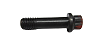 BRP 330081 Screw - Brp (330081)