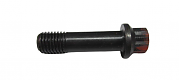 BRP 330081 Screw - Brp (330081)