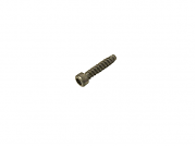 BRP 330346 Screw - BRP (330346)