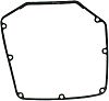 BRP 330909 Gasket, Air Box (330909)