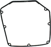 BRP 330909 Gasket, Air Box (330909)