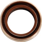 BRP 331103 Seal, Low Crnkshft (331103)