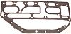 BRP 331917 Gasket - BRP (331917)