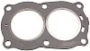 BRP 332010 Heavy Duty Gasket - Brp (332010)