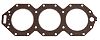 BRP 333670 Heavy Duty Gasket 93 V6 (333670)