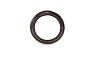 BRP 334950 Oil Seal - Brp (334950)