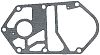 BRP 339331 Gasket - BRP (339331)