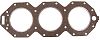 BRP 345257 Head Gasket - BRP (345257)