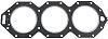 BRP 346007 Gasket,cylinder Head V6 - BRP (346007)