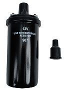 BRP 3853548 Coil,ignition Module (3853548)