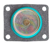 BRP 3854257 Diaphragm Assembly, 30CC (3854257)