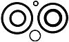 BRP 390007 O-Ring Package - BRP (390007)