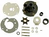 BRP 391389 Water Pump Kit - BRP (391389)