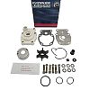BRP 437907 Kit Assembly, Water Pump - Brp (437907)