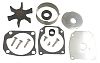 BRP 438579 Water Pump Kit with Housing - Brp (438579)