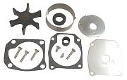 BRP 438579 Water Pump Kit with Housing - Brp (438579)