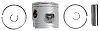 BRP 5006660 Piston&Ring KIT-.030 (5006660)