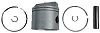 BRP 5006667 Piston & Ring Kit - BRP (5006667)