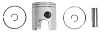 BRP 5006686 Piston&Ring Kit,standard - BRP (5006686)