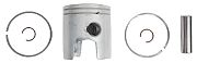 BRP 5006686 Piston&Ring Kit,standard - BRP (5006686)