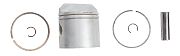 BRP 5006693 Piston Kit - BRP (5006693)