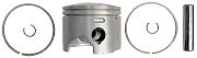 BRP 5006719 Piston&Ring Kit,standard - BRP (5006719)