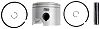 BRP 5006727 Piston Kit - BRP (5006727)