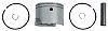 BRP 5006730 Piston/Ring Kit .030 (5006730)