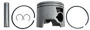 BRP 5006733 Piston&Ring Kit Standard (5006733)