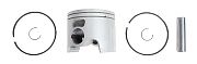 BRP 5006738 Piston & Ring Kit - BRP (5006738)
