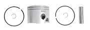 BRP 5007037 Piston&Ring Kit, Standard - BRP (5007037)