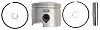 BRP 5007038 Piston&Ring KIT,.030 - BRP (5007038)