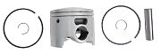 BRP 5008422 Piston&Ring ASSEMBLY-STANDARD - BRP (5008422)