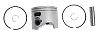 BRP 5008423 Piston&Ring ASSEMBLY-STANDARD - BRP (5008423)